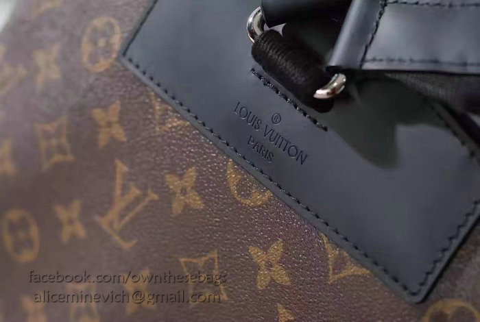 Louis Vuitton Monogram Macassar Canvas Josh Backpack M41530