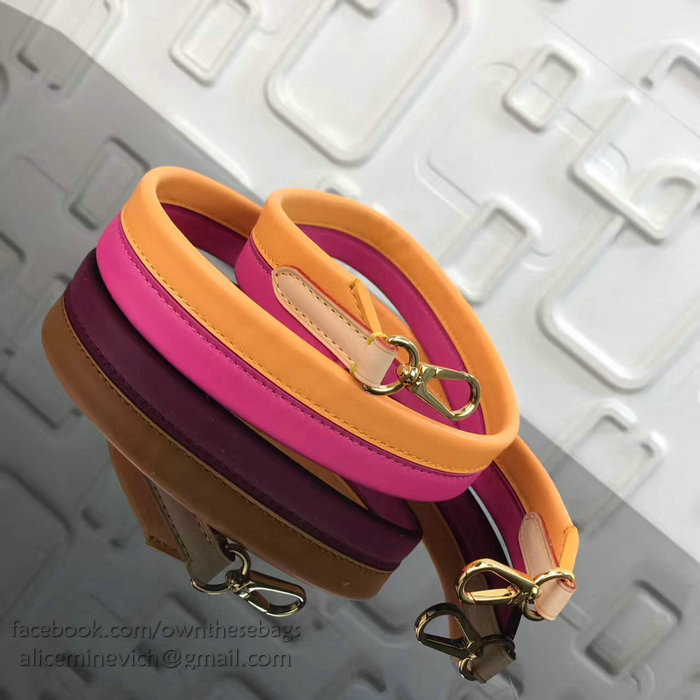 Louis Vuitton Multicolor Leather Shoulder Strap J02287