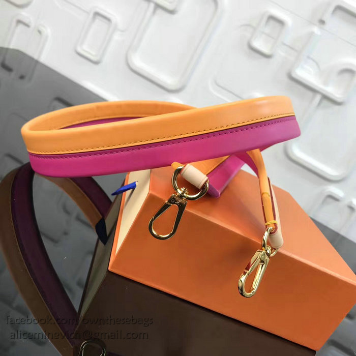 Louis Vuitton Multicolor Leather Shoulder Strap J02287