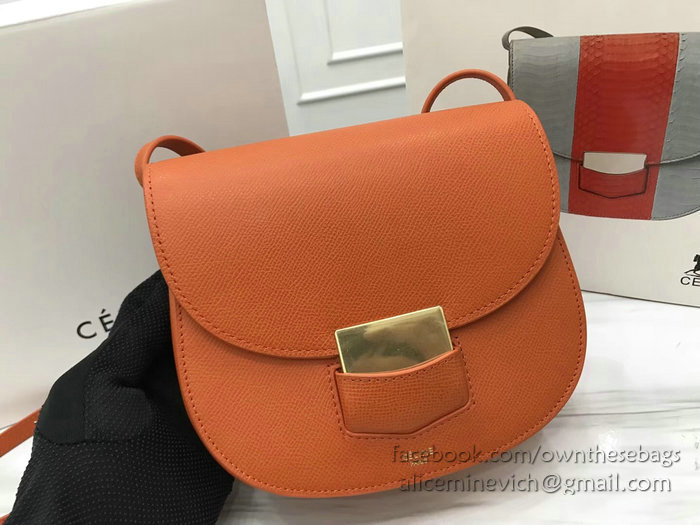 Celine Small Trotteur Bag in Grained Calfskin Orange CL30038