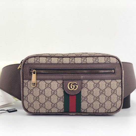 Gucci Ophidia GG Belt Bag 574796
