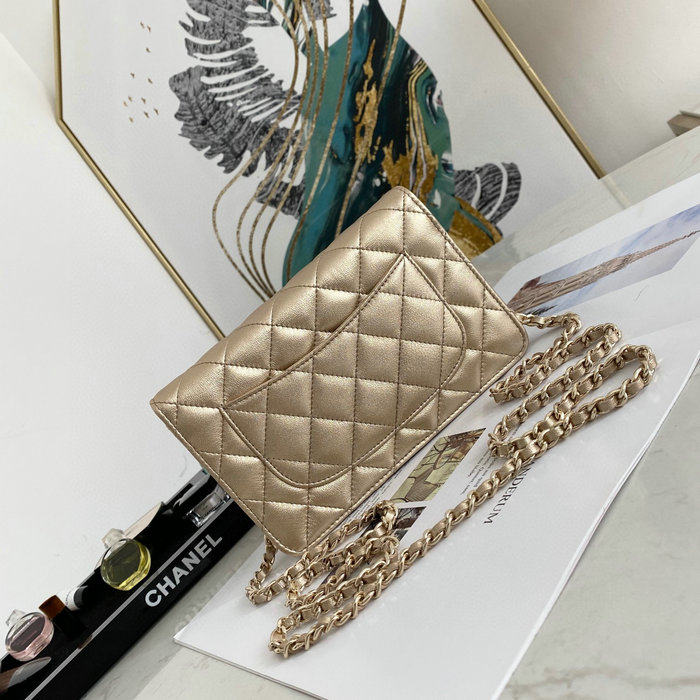 Chanel Lambskin Calfskin WOC Chain Wallet Gold AS0250
