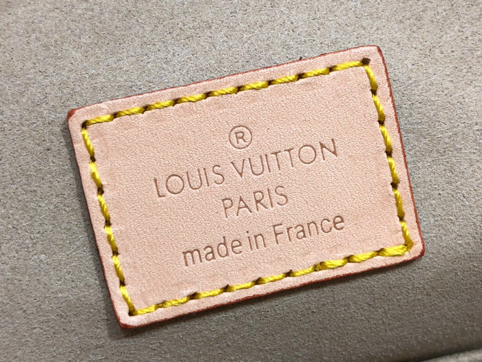 Louis Vuitton Monogram Canvas Estrela MM Bag M41232