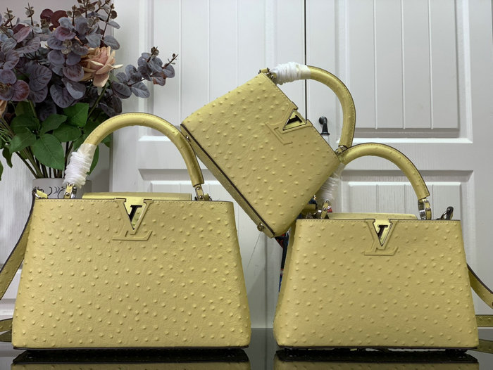 Louis Vuitton Embossed Ostrich Capucines Yellow N93419