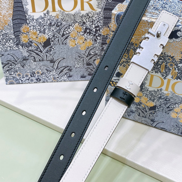 Dior Belt DB02