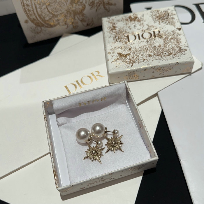 Dior Earrings DE01