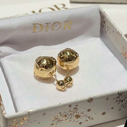Dior Earrings DE02