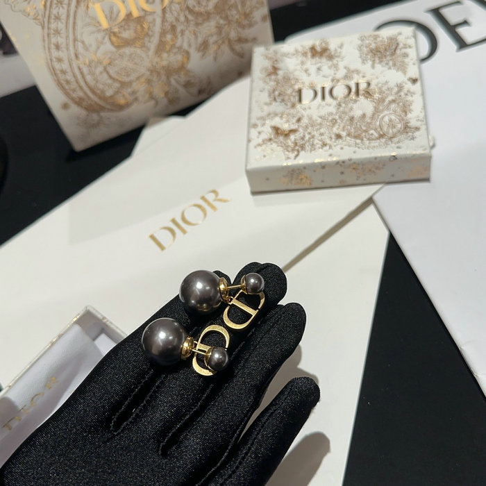 Dior Earrings DE03