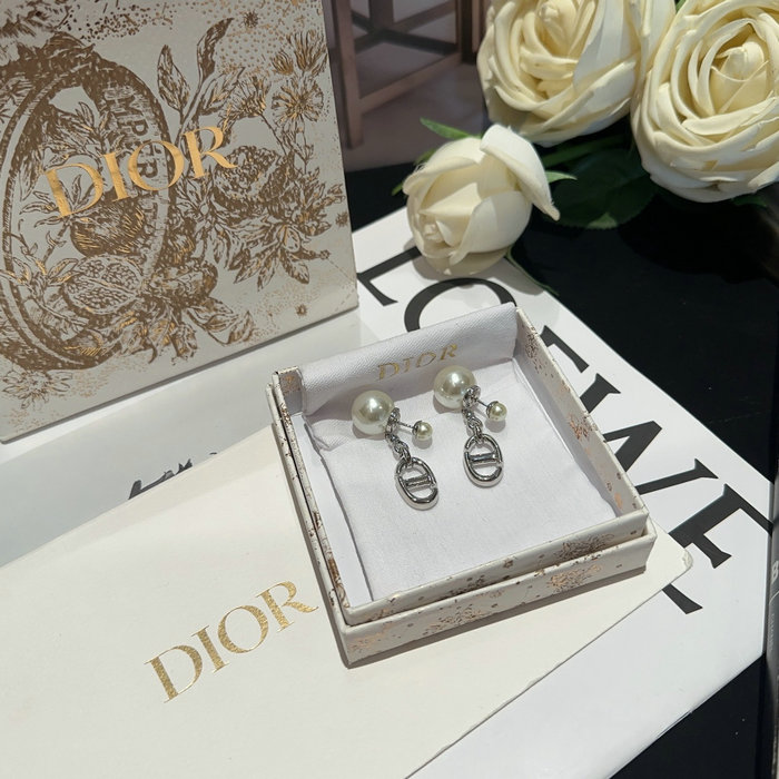 Dior Earrings DE05