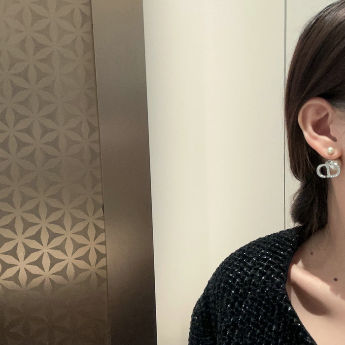 Dior Earrings DE06