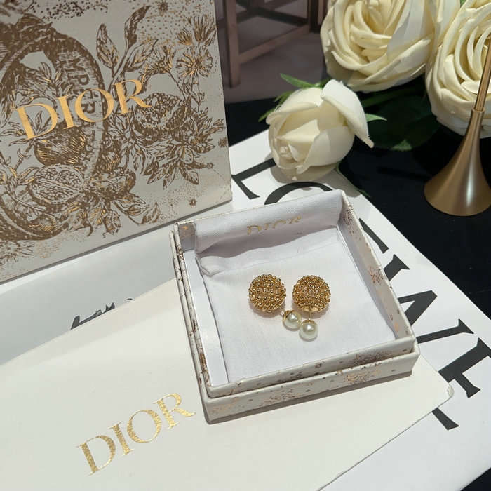 Dior Earrings DE07
