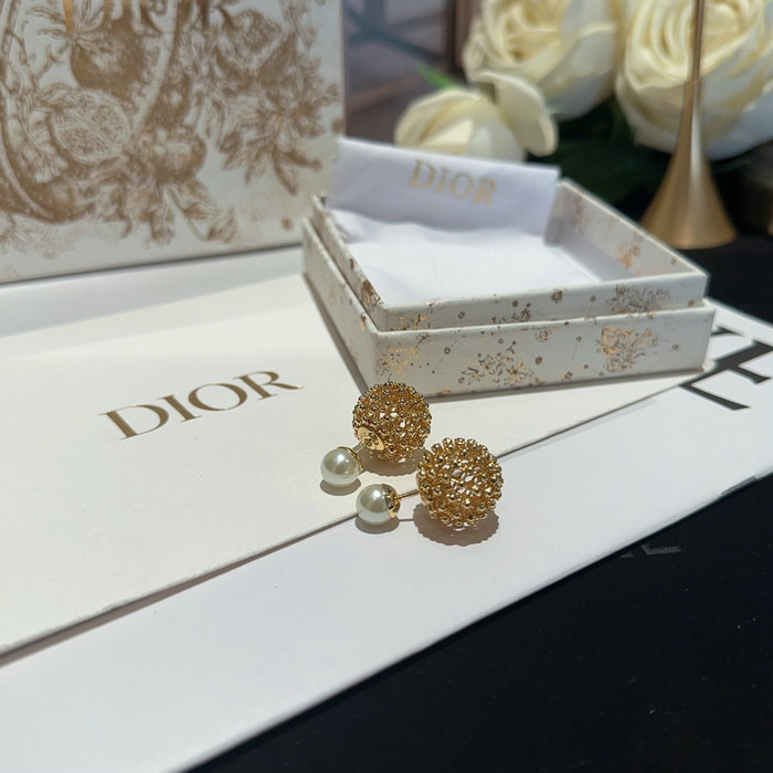 Dior Earrings DE07