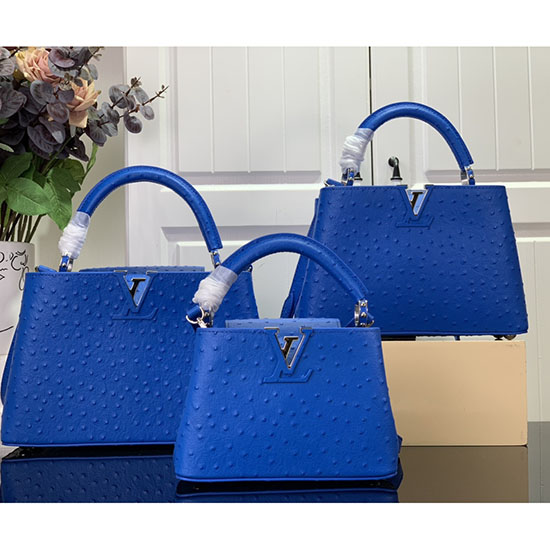 Louis Vuitton Embossed Ostrich Capucines Blue N93419