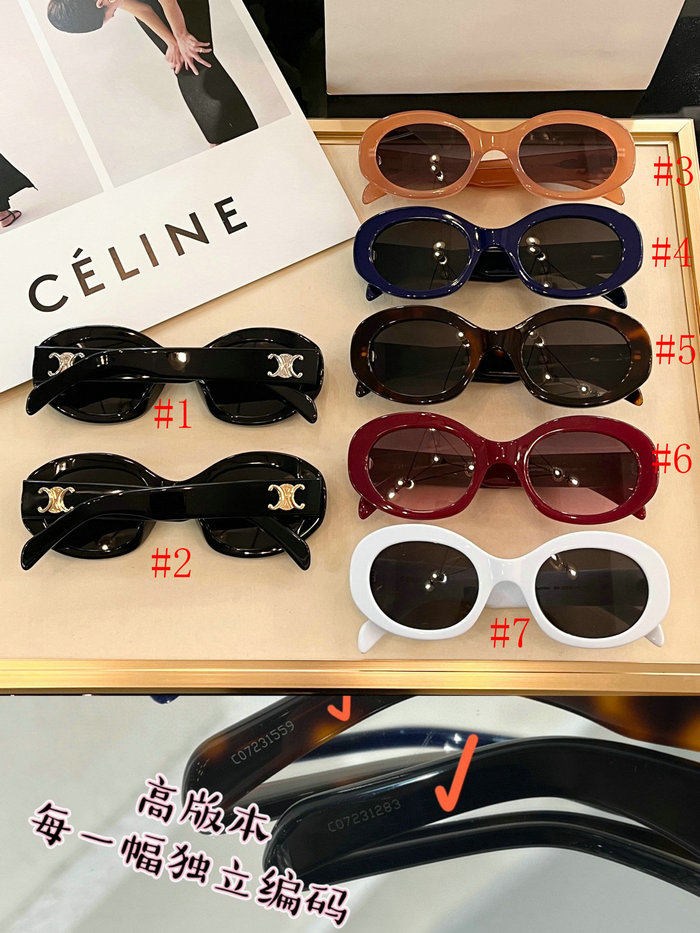 Celine Sunglasses SCL40194