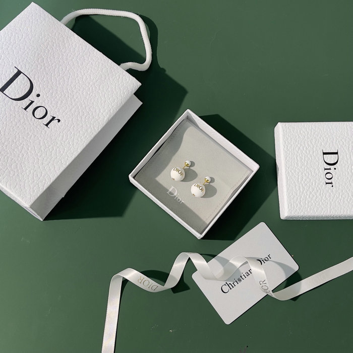 Dior Earrings DE09