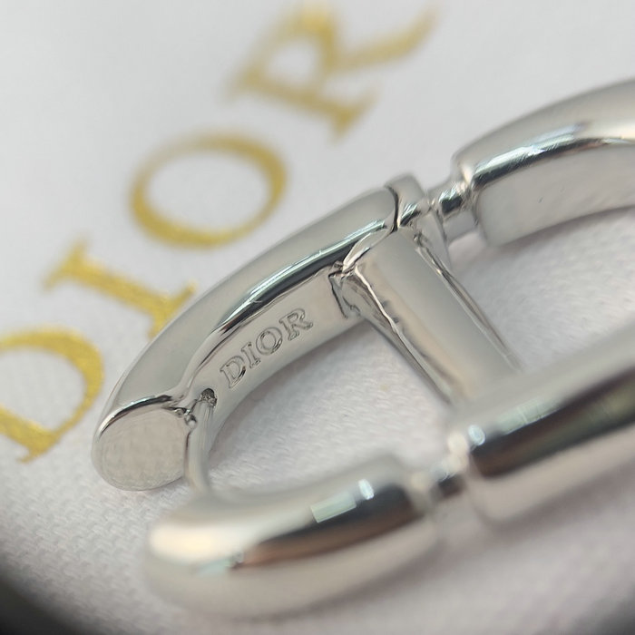 Dior Earrings DE12
