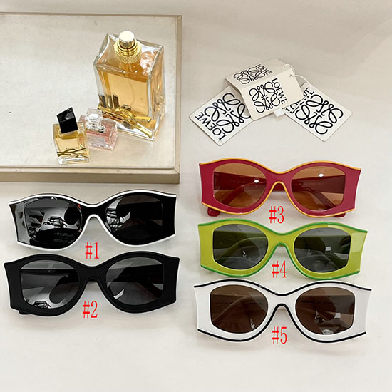 Loewe Sunglasses SL03051