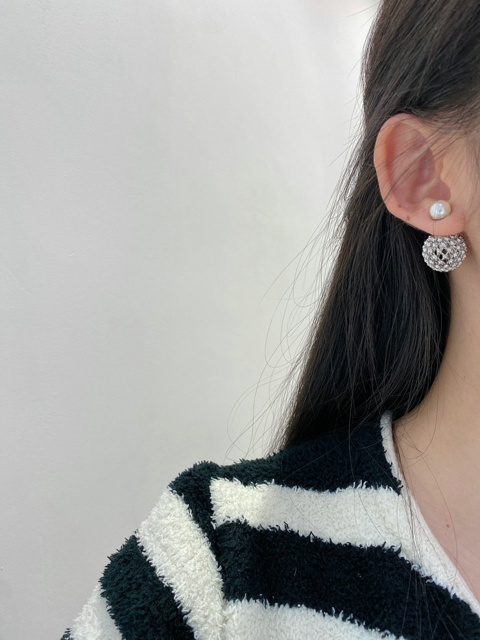 Dior Earrings DE14