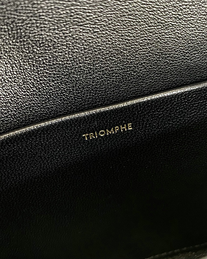 Celine Triomphe Shoulder Bag Black C35029