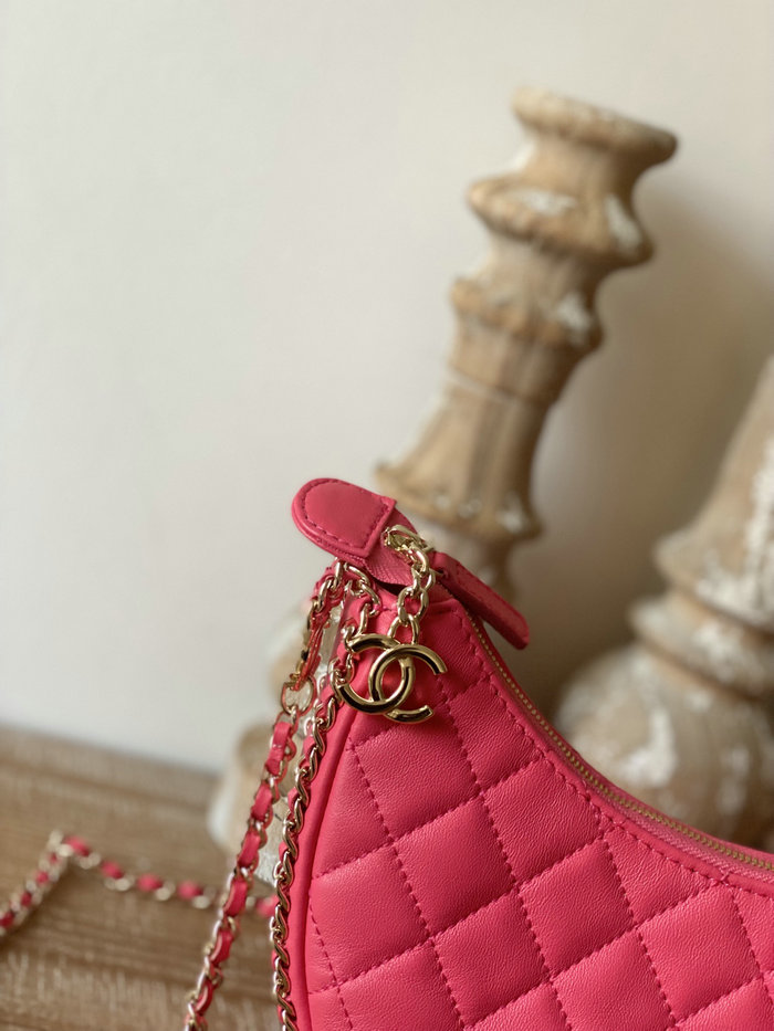Chanel Small Hobo Bag Pink AS3917