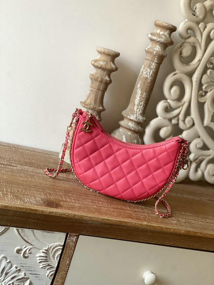 Chanel Small Hobo Bag Pink AS3917