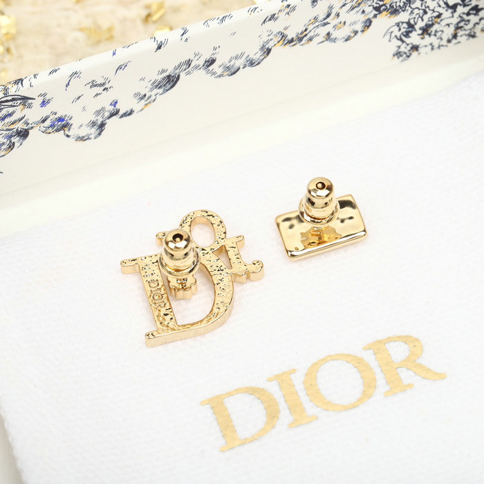 Dior Earrings DE13