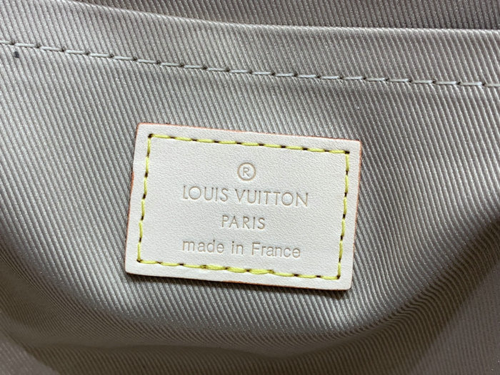 Louis Vuitton Cluny Mini M46055