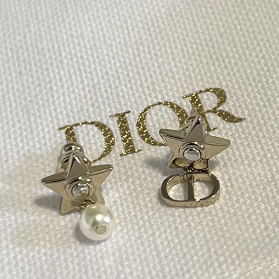Dior Earrings JDE061401