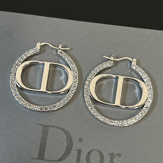 Dior Earrings JDE062201