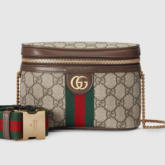 Gucci Ophidia Belt Bag with Web 699765