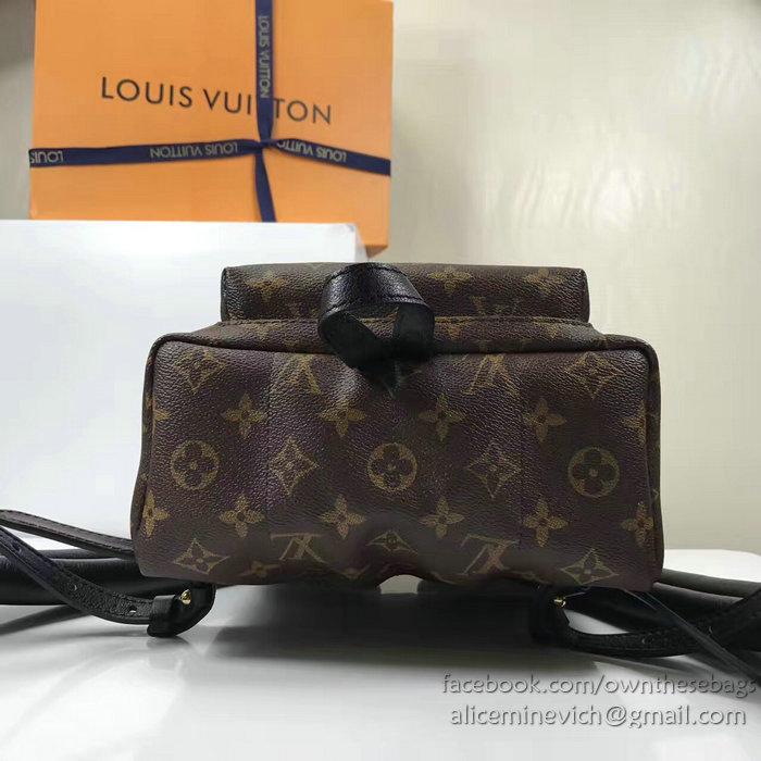 Louis Vuitton Monogram Canvas Palm Springs Backpack PM M41560