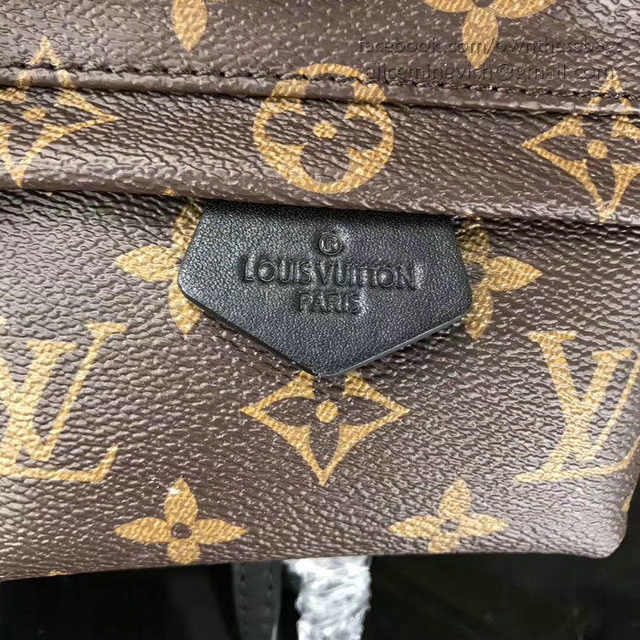 Louis Vuitton Monogram Reverse Canvas Palm Springs Backpack Mini M41562