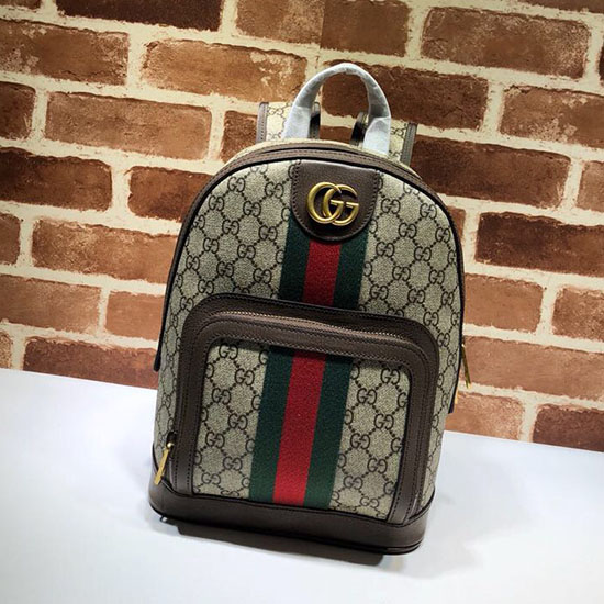 Gucci Ophidia GG Small Backpack 547965