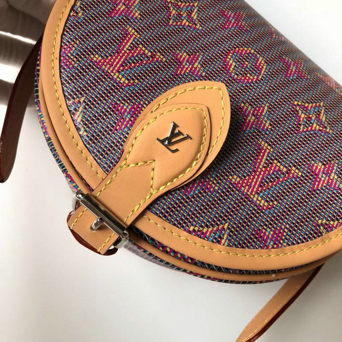Louis Vuitton Printed Calf Leather Tambourin M55460