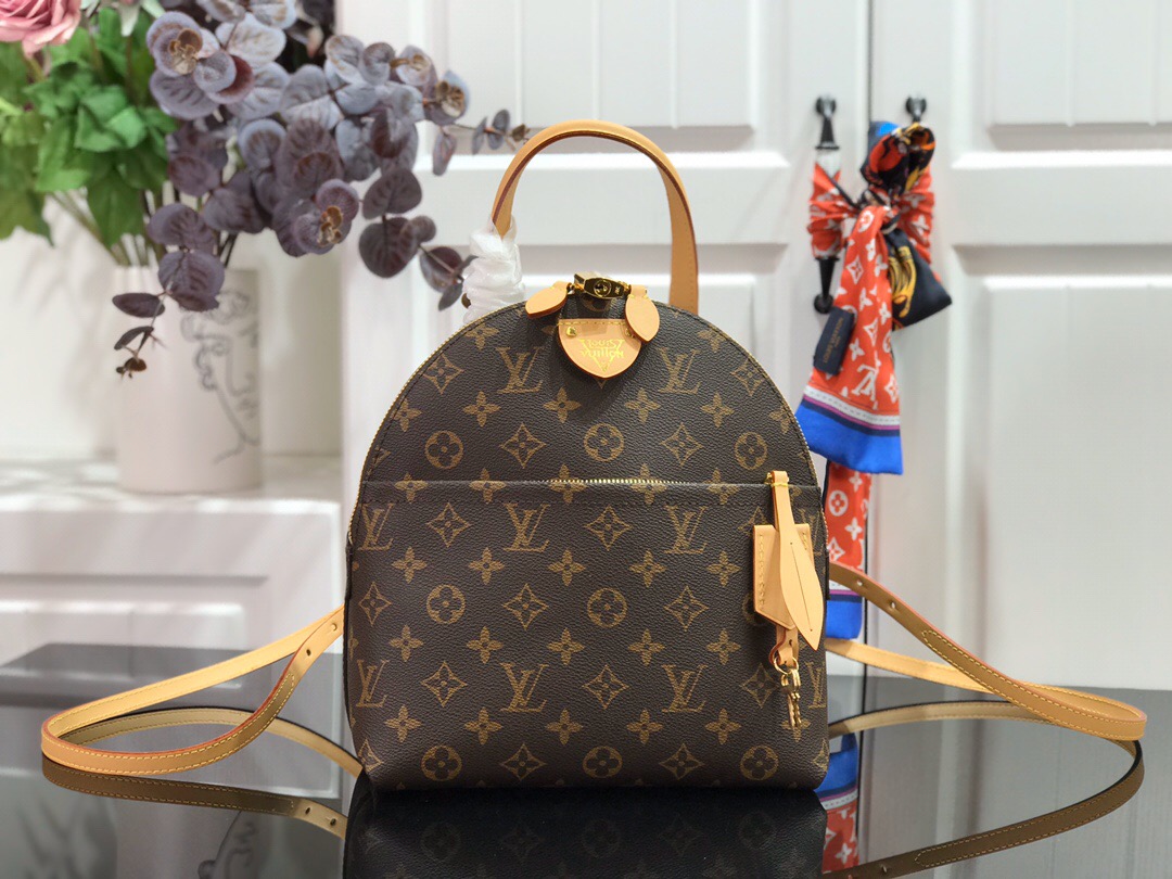 Louis Vuitton Backpack M44677
