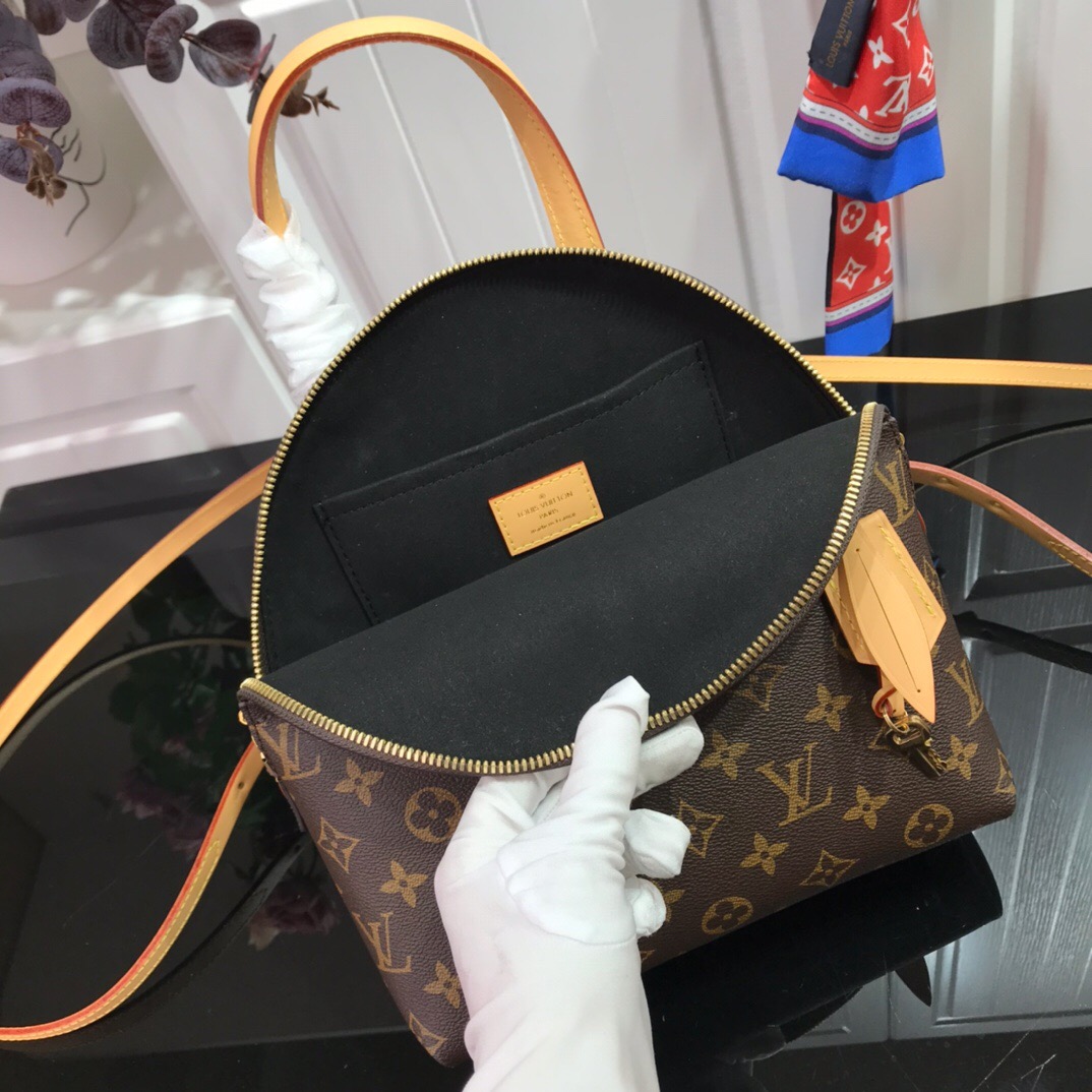 Louis Vuitton Backpack M44677