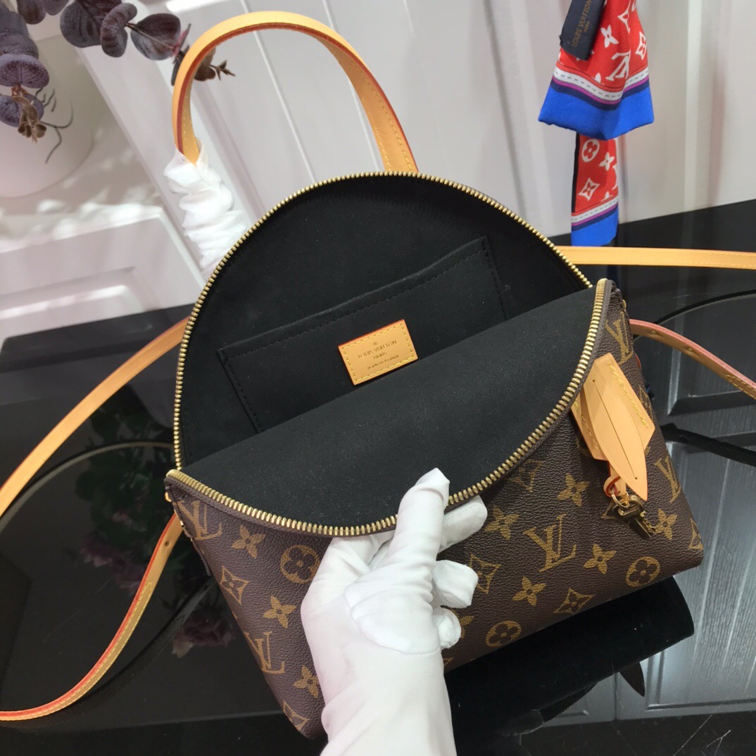 Louis Vuitton Backpack M44677