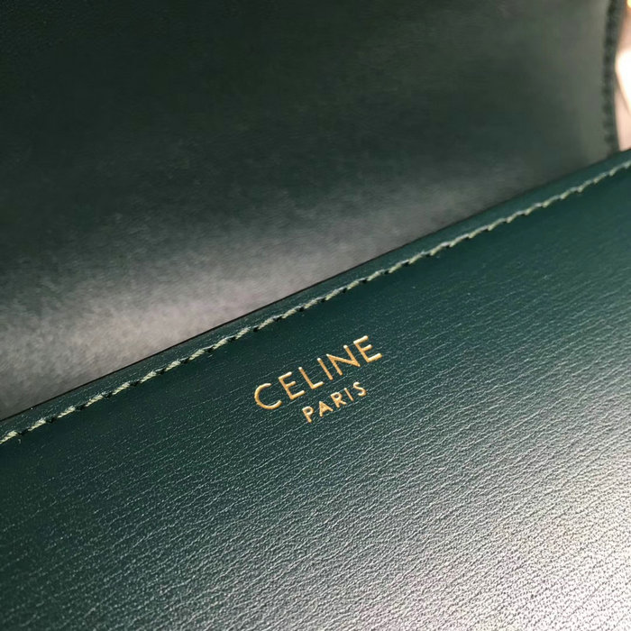 Celine Medium Triomphe Bag in Shiny Calfskin Amazone C03081