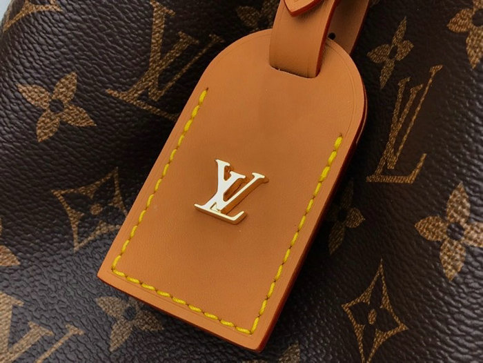 Louis Vuitton Mini Noe M45550