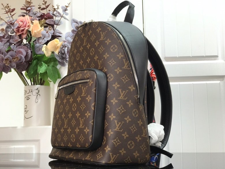 Louis Vuitton Monogram Canvas Josh MM Brown M45349