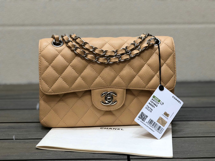 Small Classic Chanel Flap Bag Beige with Silver A01117