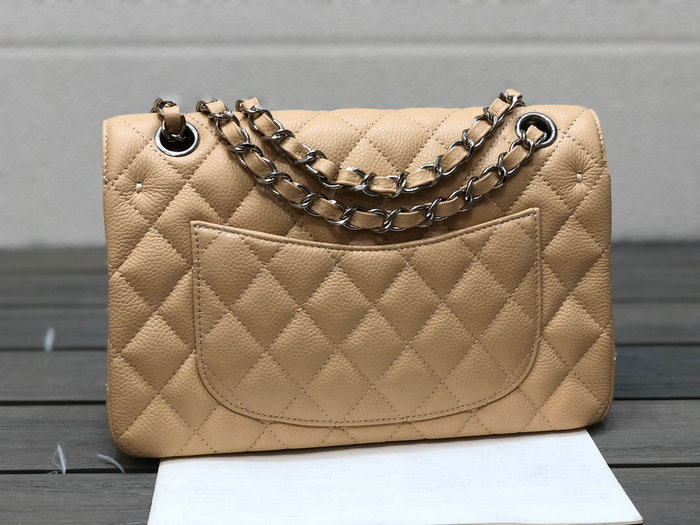 Small Classic Chanel Flap Bag Beige with Silver A01117