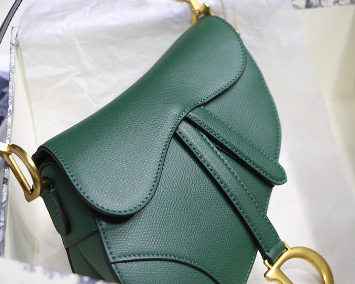 Dior Grained Calfskin Saddle Bag Green M9001