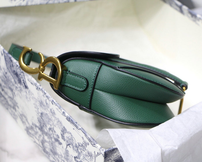 Dior Grained Calfskin Saddle Bag Green M9001