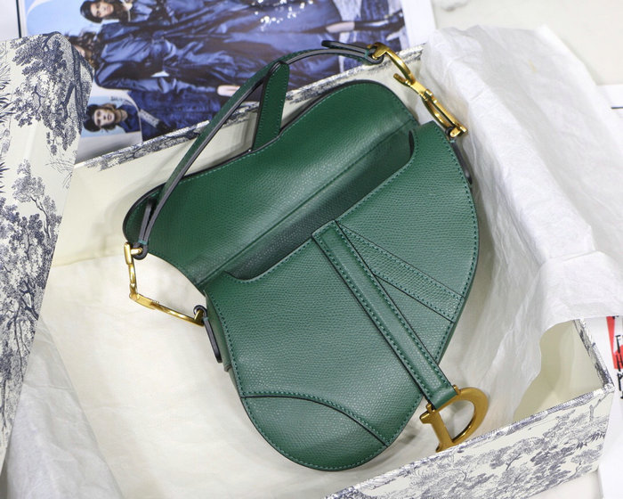 Dior Grained Calfskin Saddle Bag Green M9001