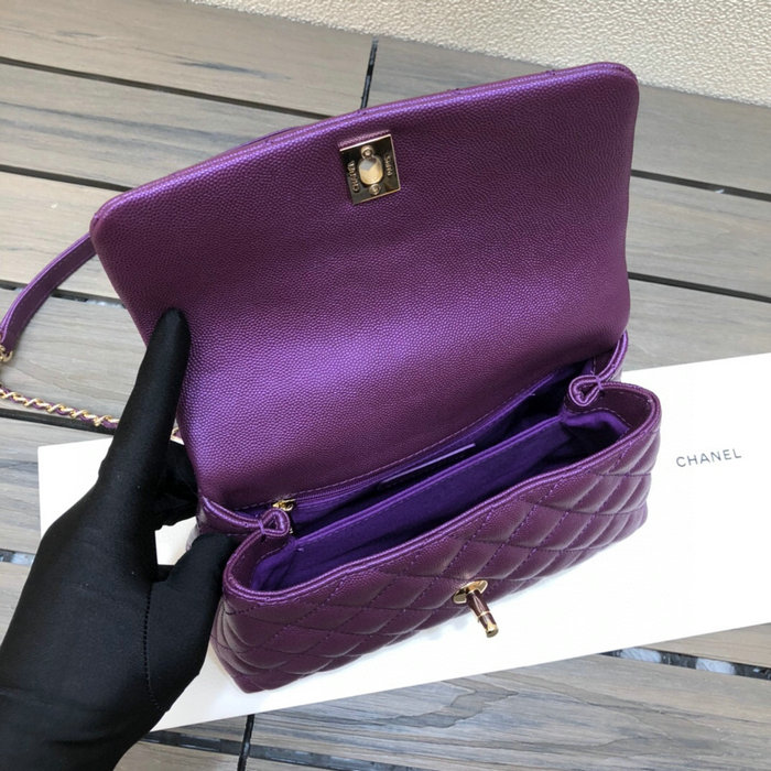 Chanel Small Flap Bag with Top Handle Purple A92990