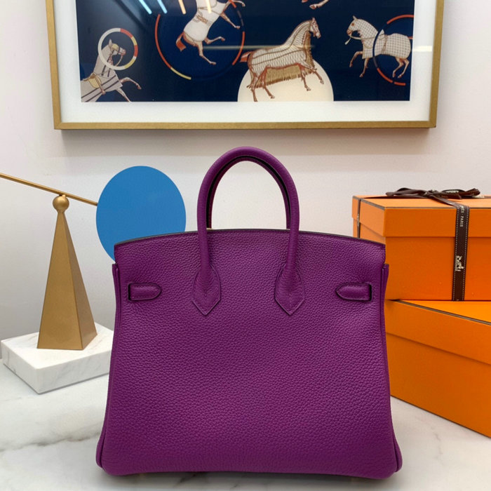 Hermes Togo Leather Birkin Bag Anemone HB2530357