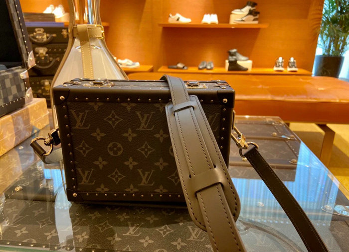 Louis Vuitton Monogram Canvas Box Bag M43580