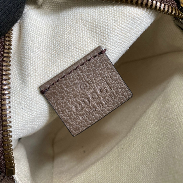 Gucci Ophidia Mini Bag 671682