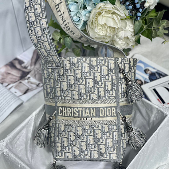 Dior D-bubble bucket bag Grey DM6006